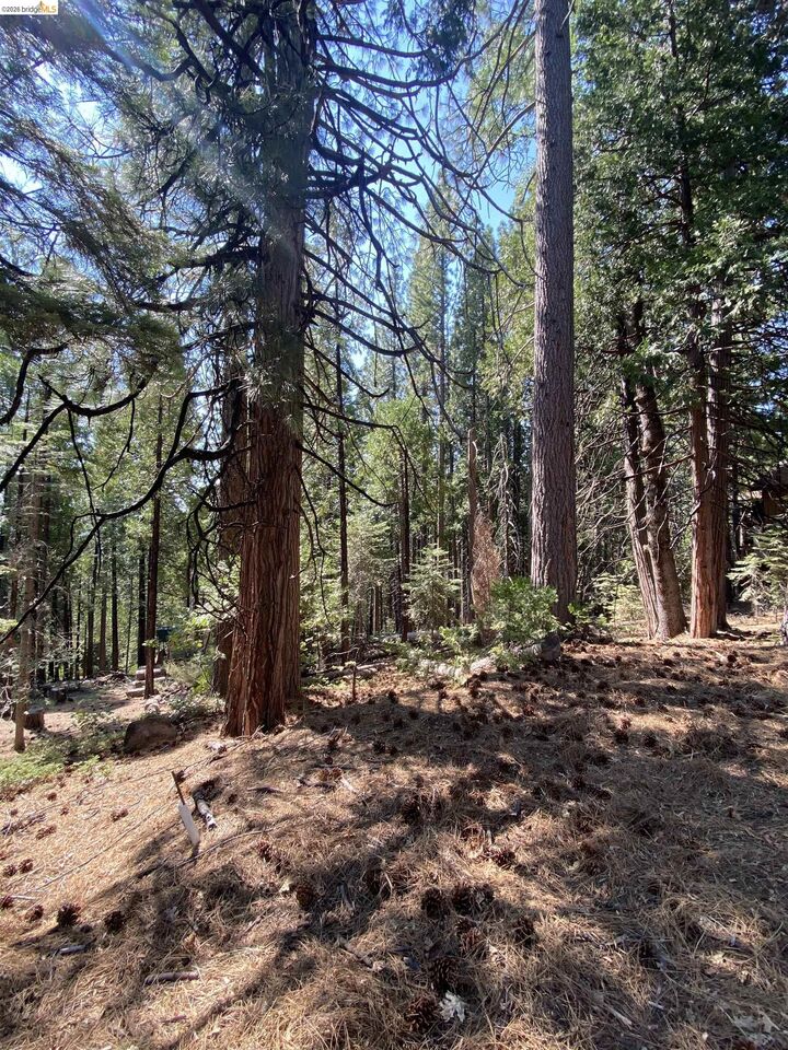 Property Photo: 155 Alpine CA 95335