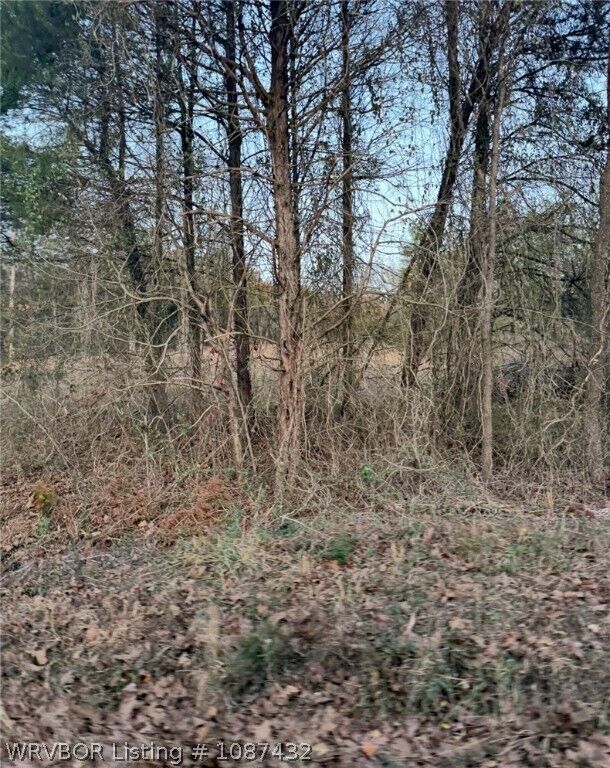 Property Photo:  Tbd S 4720 Road  OK 74948 