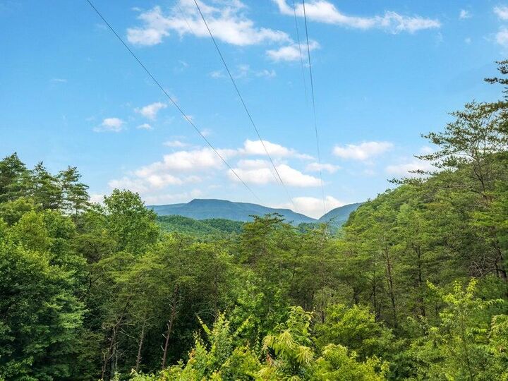 Property Photo: 118 Price Road TN 37369