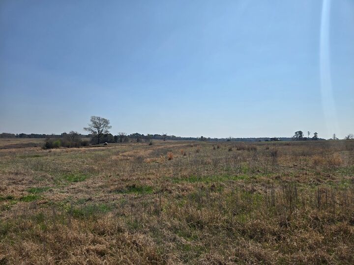 Property Photo:  R0039694 Northview  TX 75835 