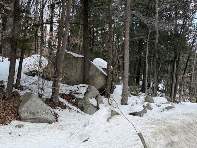 Property Photo: Map 6 Lot 103 Route 16 NH 03818