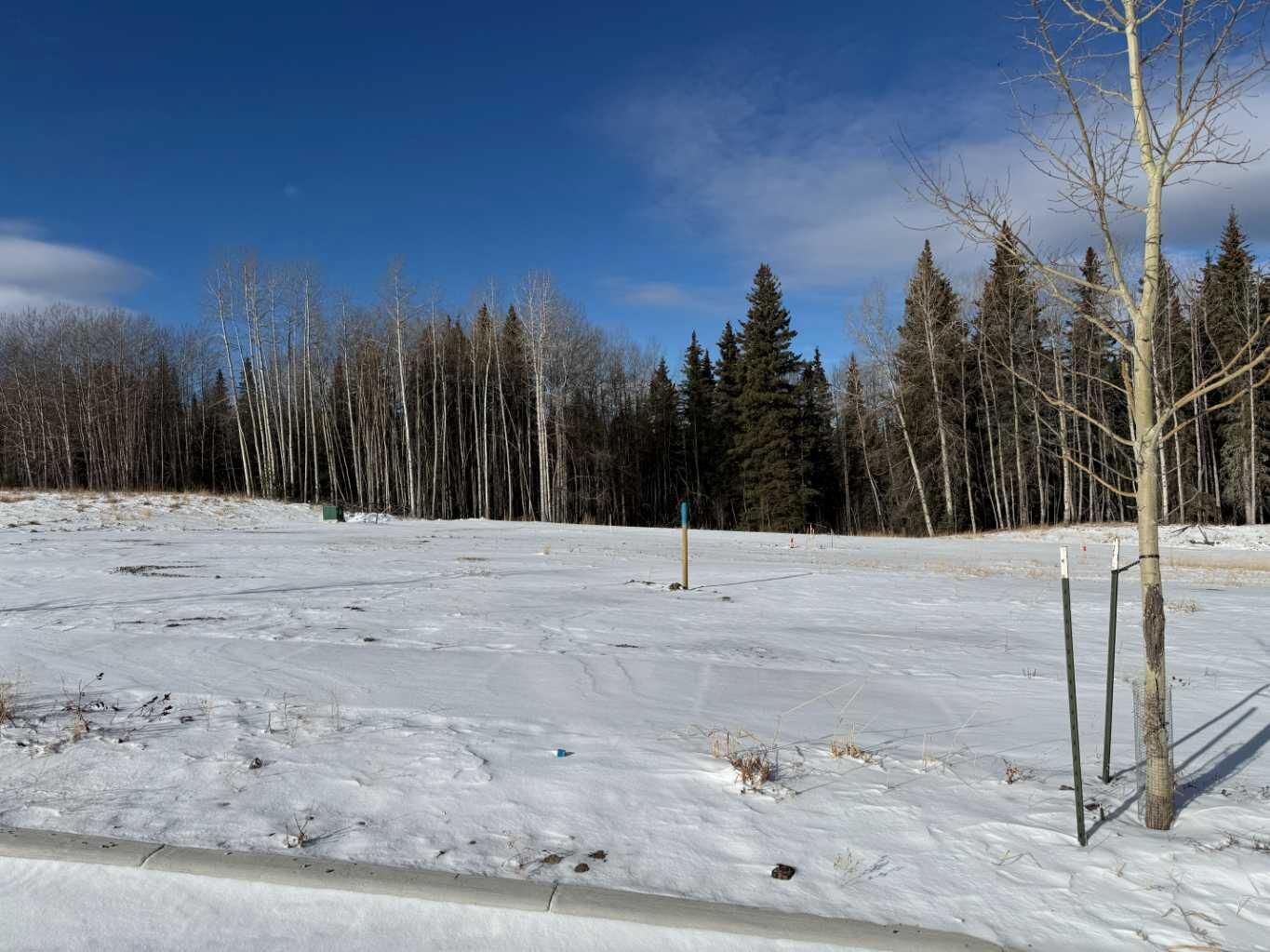 Property Photo: 468 Lily Avenue AB T0M 2H0