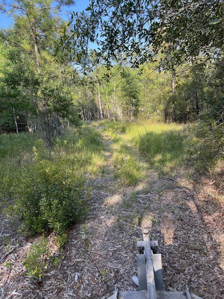 Property Photo:  1655 Cr 716  TX 77612 