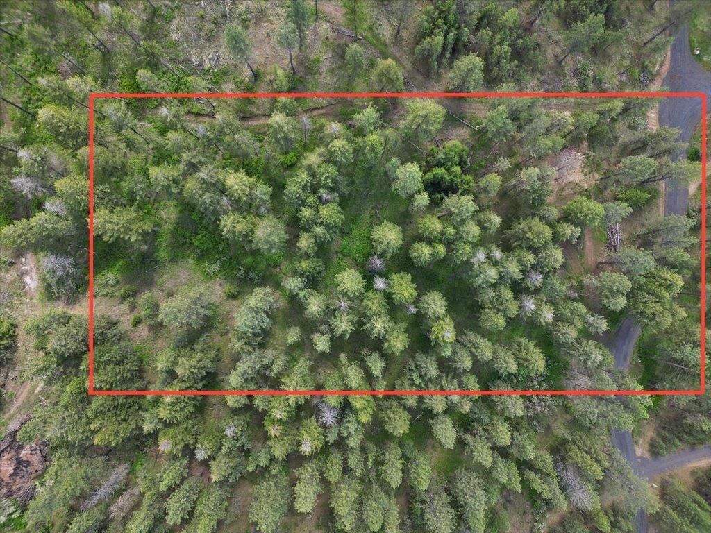 Property Photo:  Nka Weaver Way Lot 4 Of Lot 1  WA 99006 