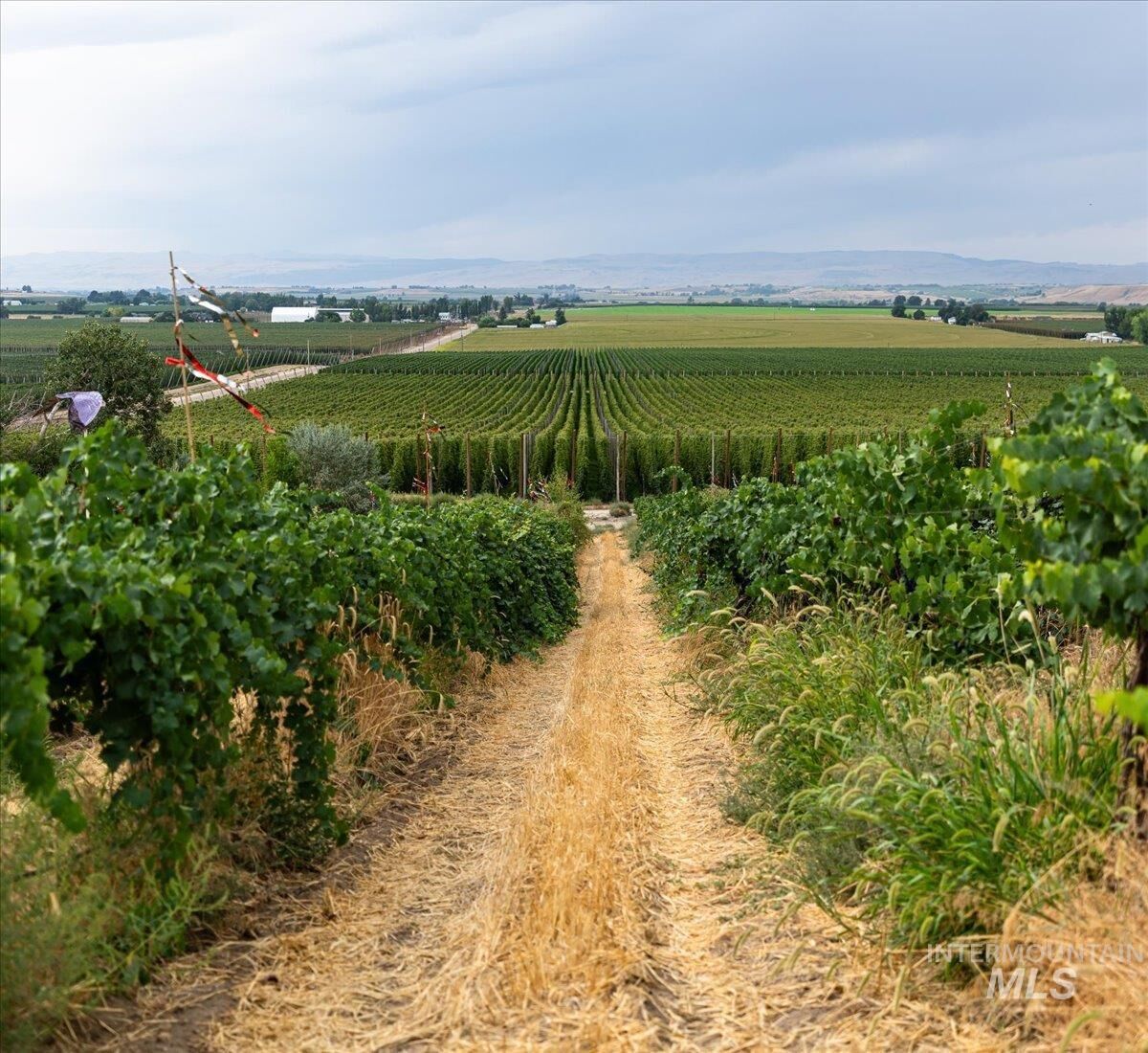 Property Photo: 24013 Arena Valley Rd ID 83660