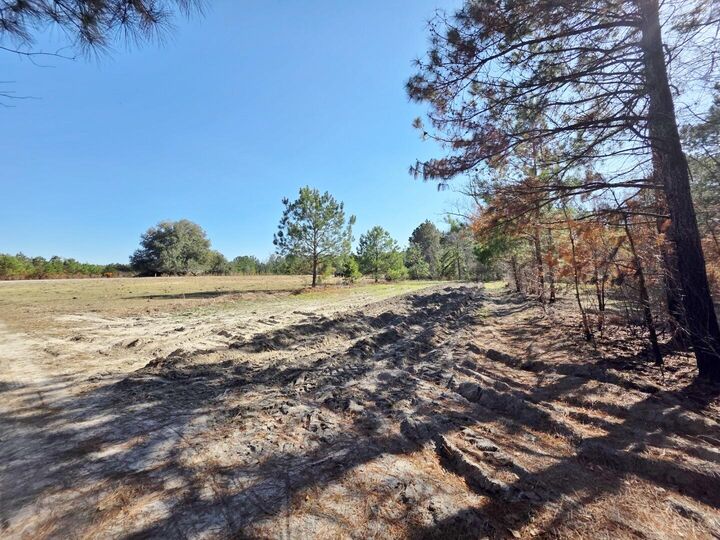 Property Photo:  0 Pompey Road  SC 29102 