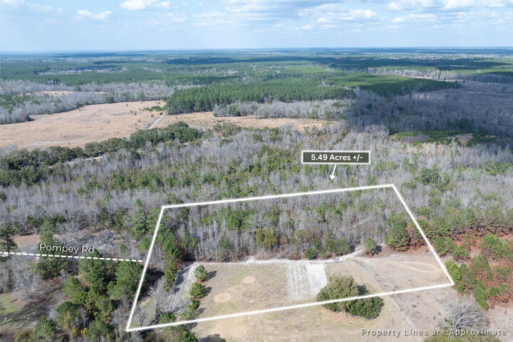 Property Photo:  2 Pompey Road  SC 29102 