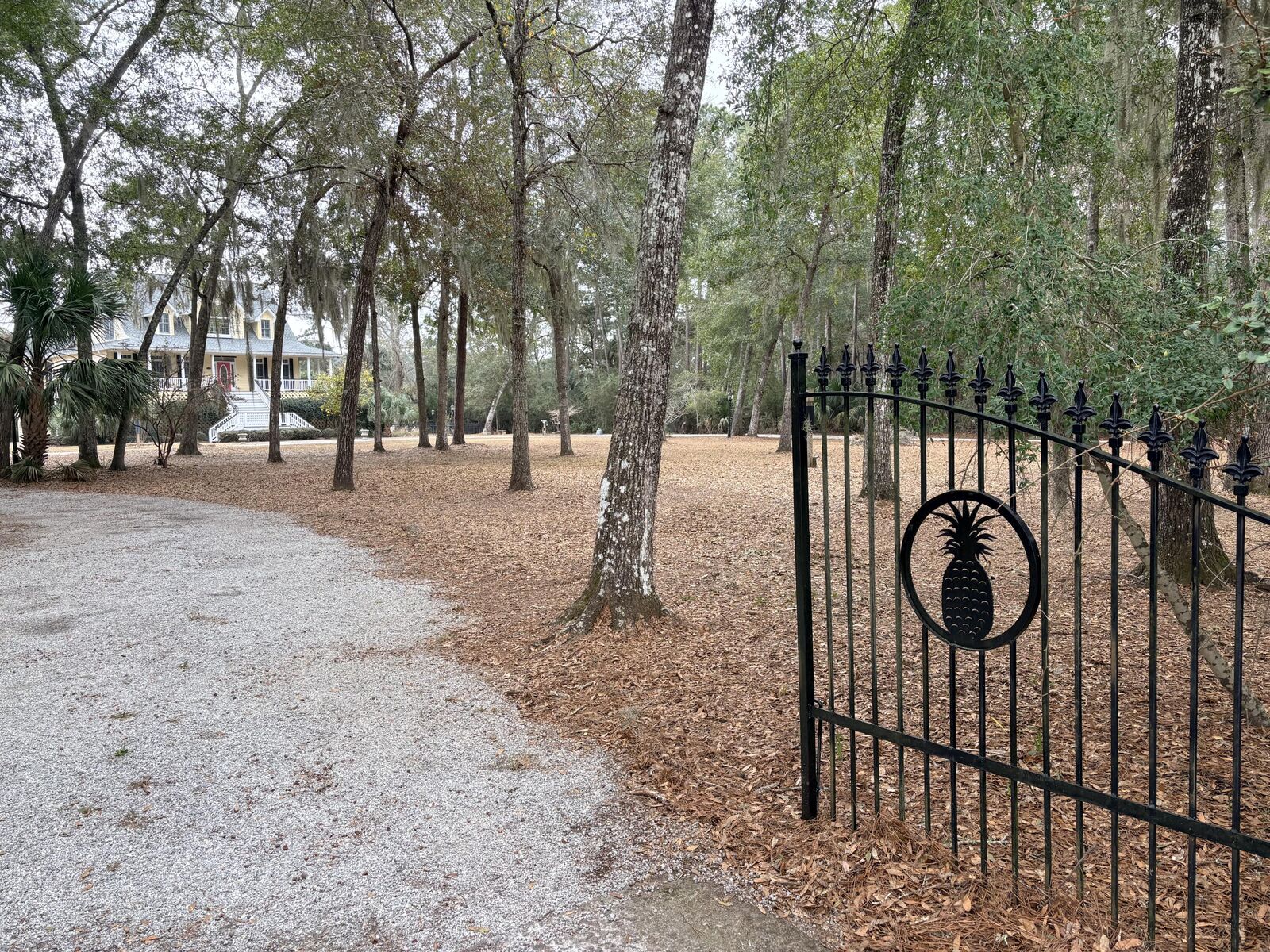 Property Photo:  8970 Palmetto Road  SC 29438 