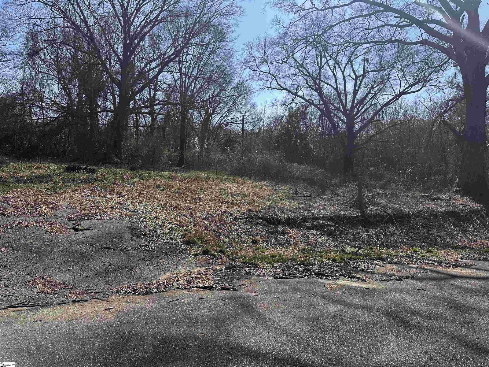 Property Photo:  Lot 14 Wenzick  SC 29625 