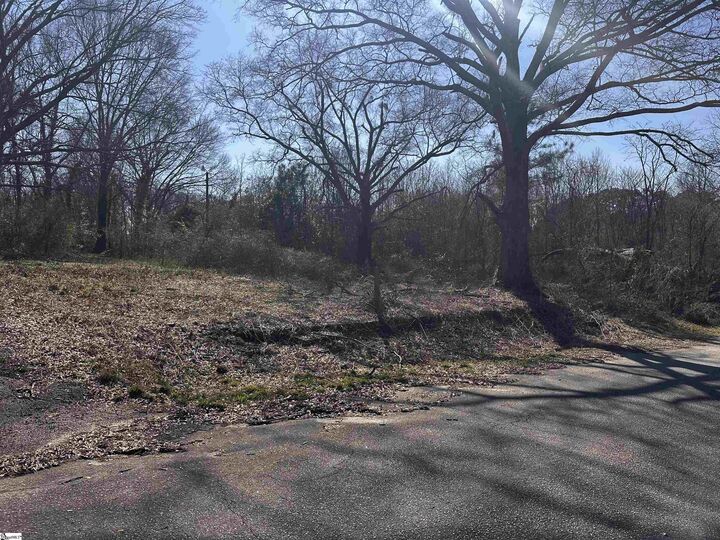 Property Photo: Lot 15 Wenzick SC 29625