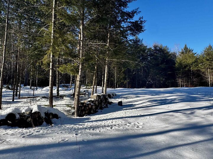 Property Photo:  19 Lodge Lane  NH 03785 