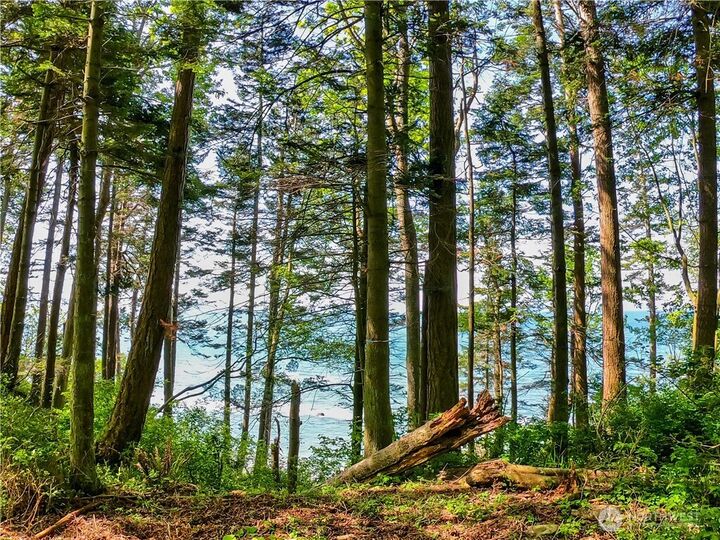 Property Photo:  11  Koehn Road  WA 98230 