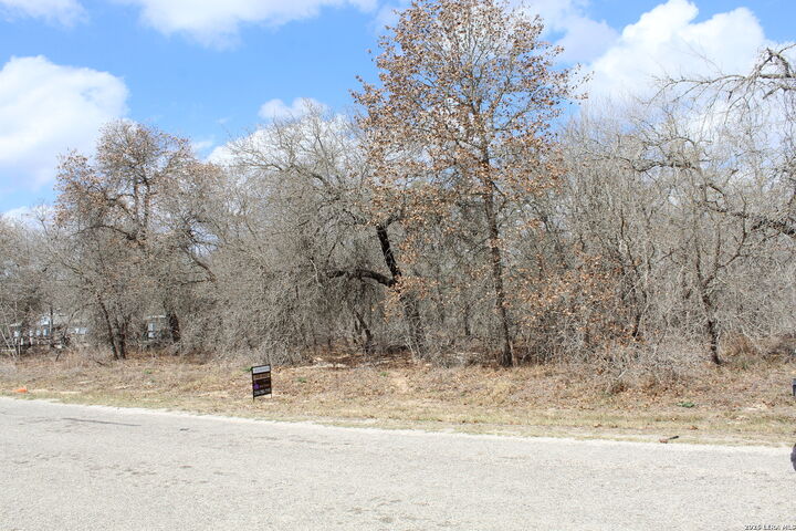 Property Photo: 290 Spur Ridge TX 78064