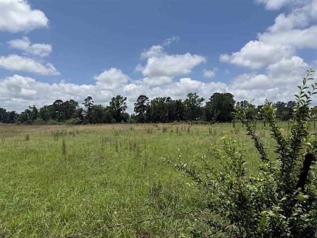 Property Photo:  Tract 3 Cr 2168  TX 75789 