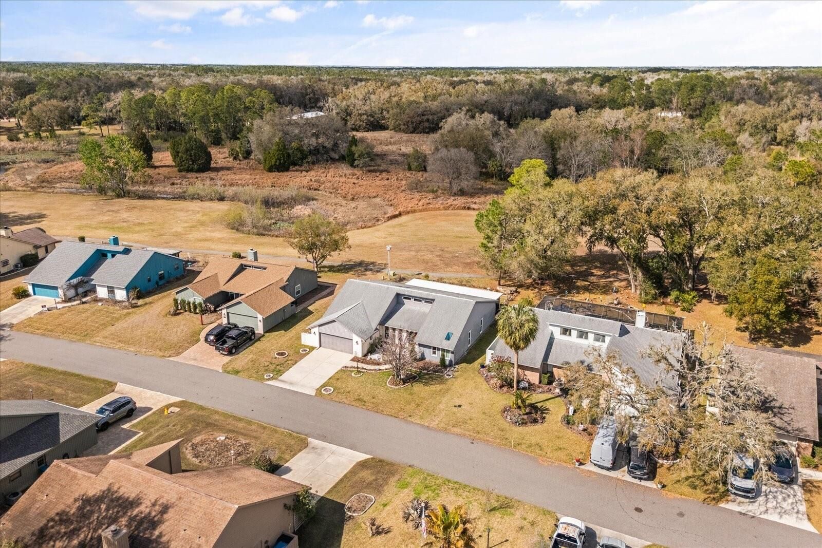 Property Photo:  34515 Cedarfield Drive  FL 33523 