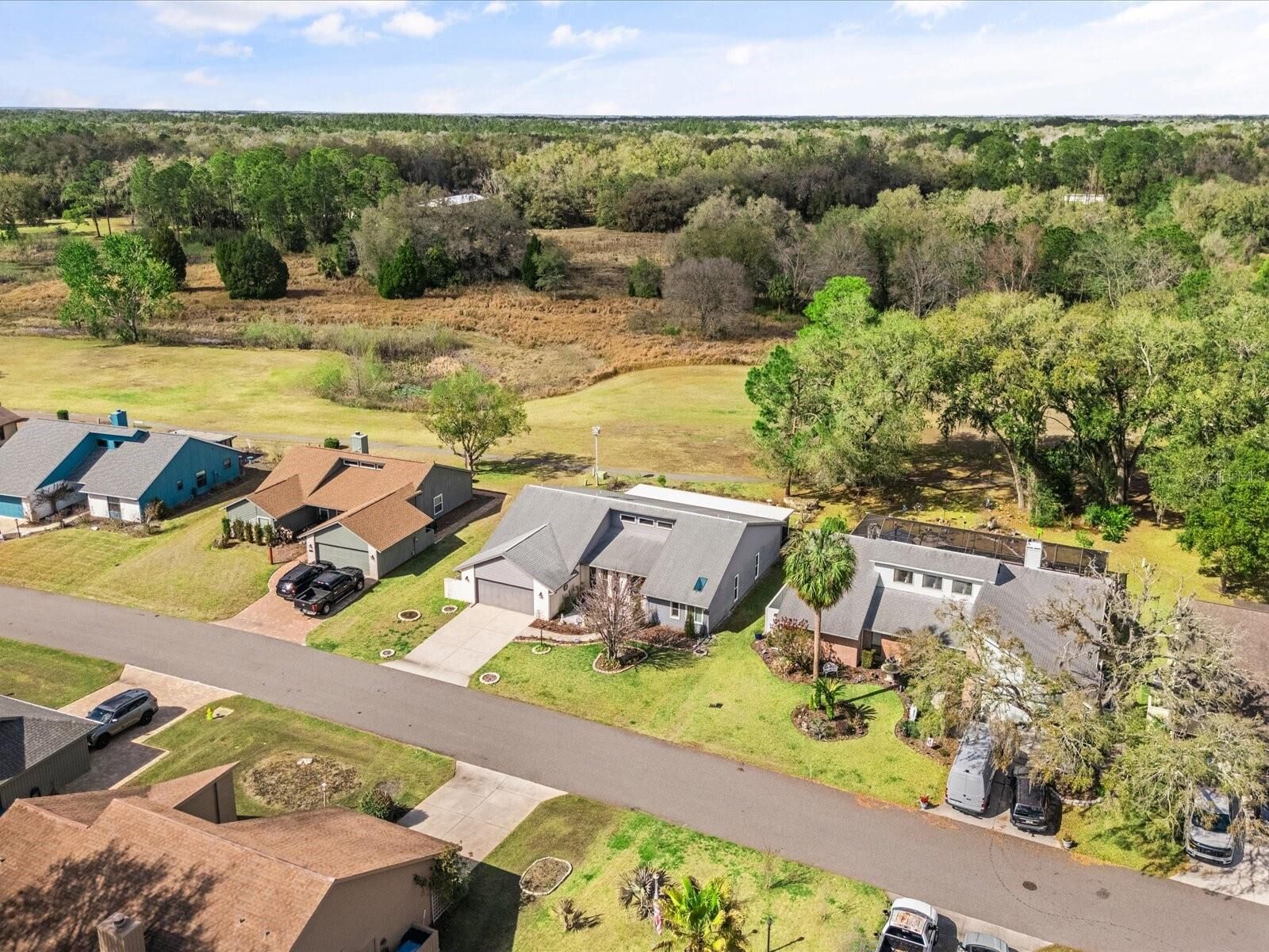 Property Photo:  34515 Cedarfield Drive  FL 33523 