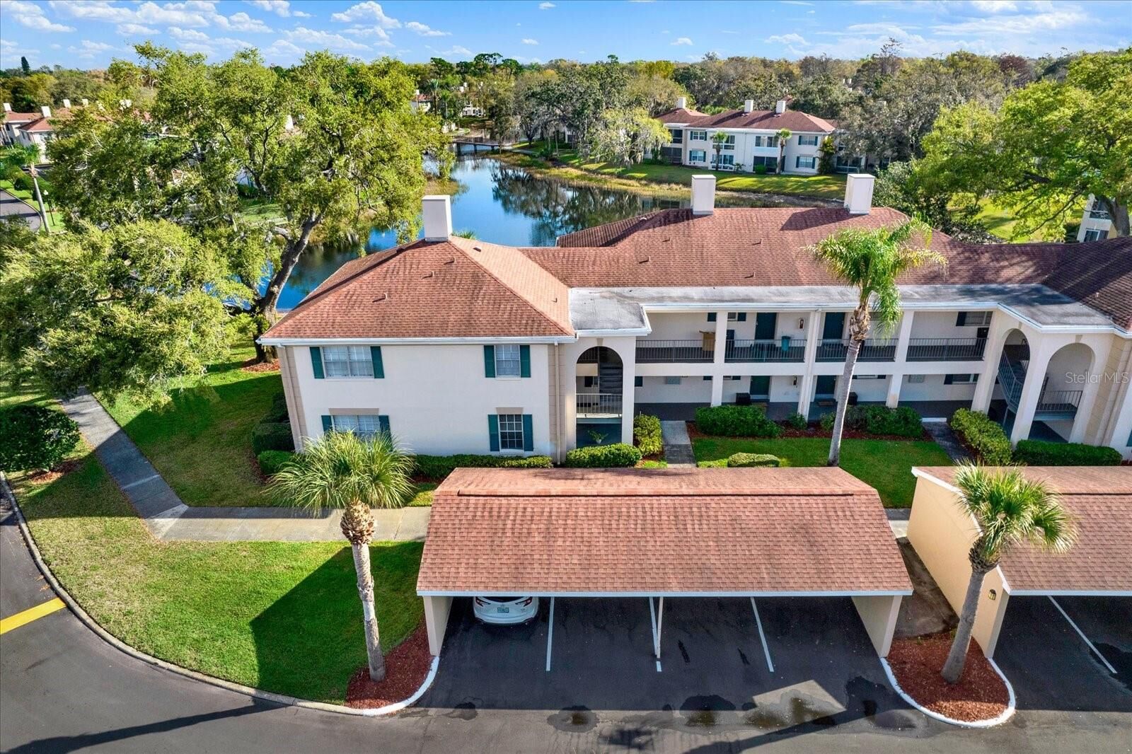 Property Photo:  10330 Carrollwood Lane 95  FL 33618 