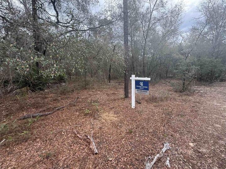 Property Photo:  0 SE 3rd Street Street  FL 32148 