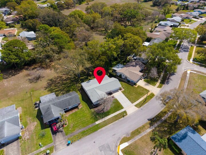 Property Photo:  1223 Timberbrooke Drive  FL 34684 