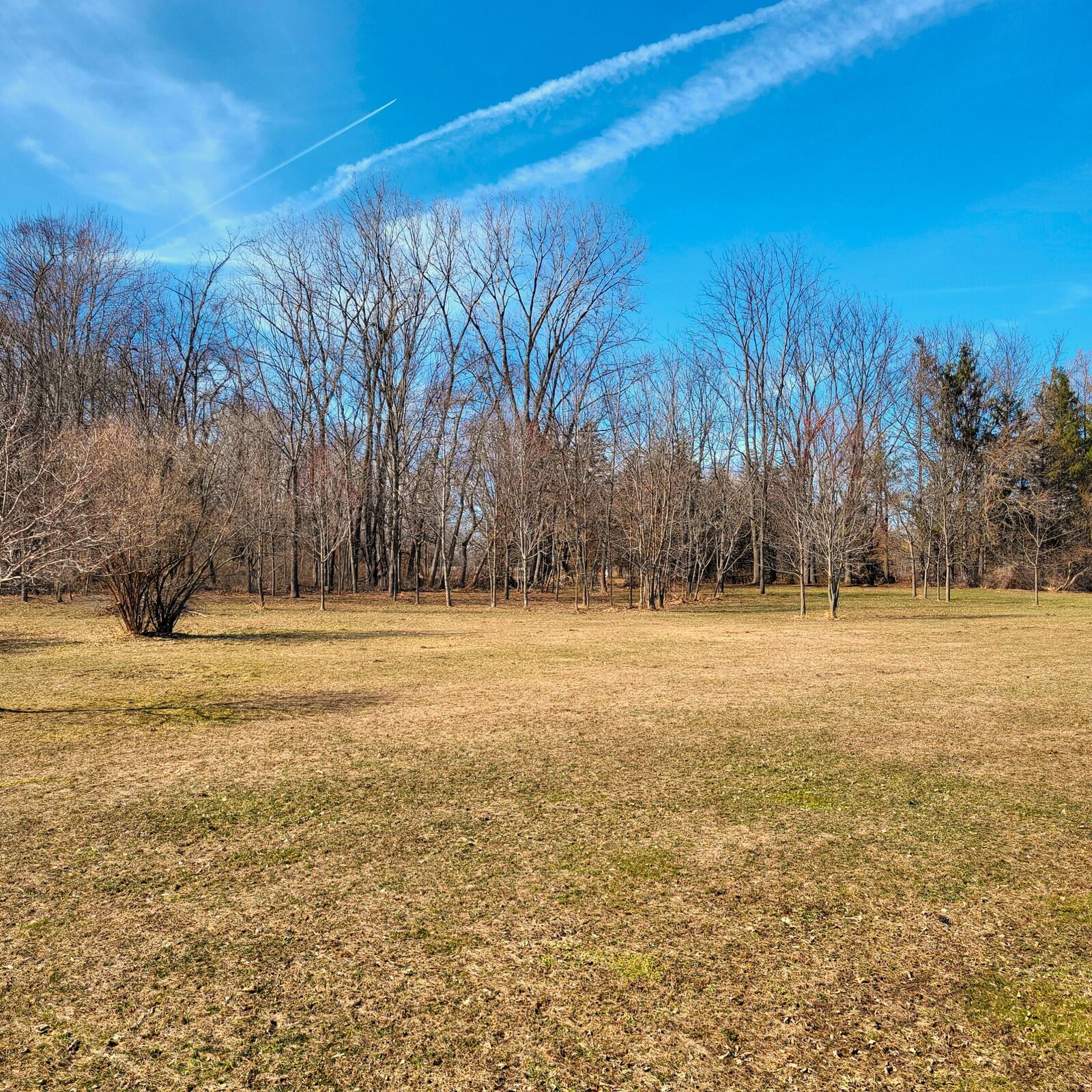 Property Photo: 01 Hoder Road MI 49117