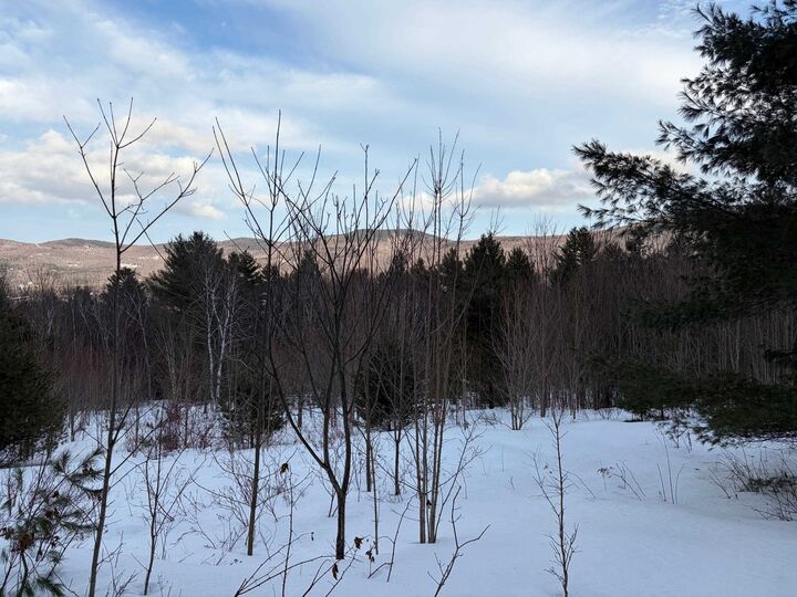Property Photo:  00 Fuller Hill Road  VT 05674 