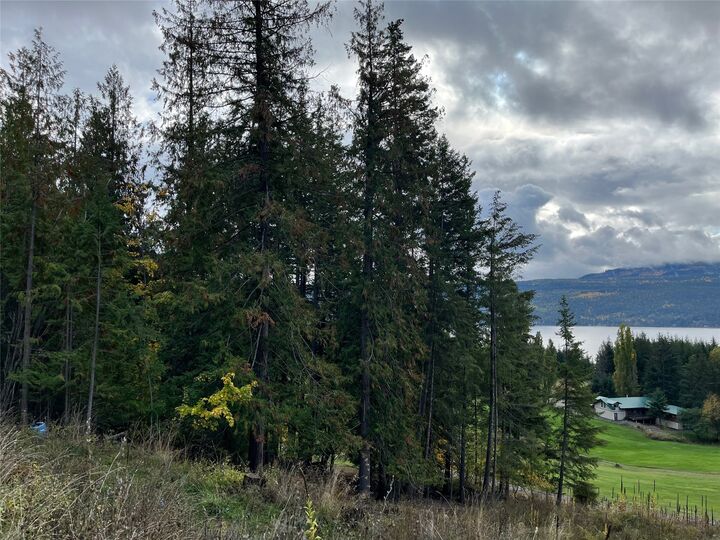 Property Photo: Columbia Drive BC V0E 1M8