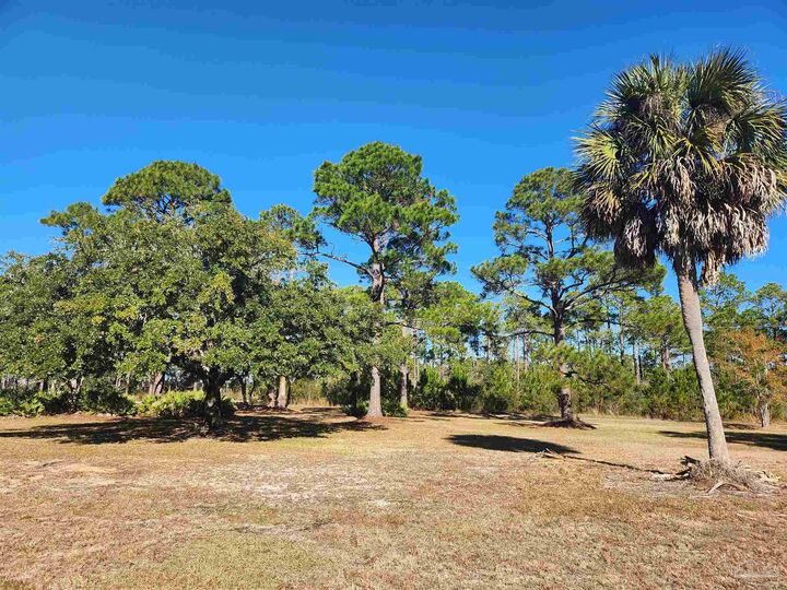 Property Photo:  1164 Pearson Rd Lot 2  FL 32583 