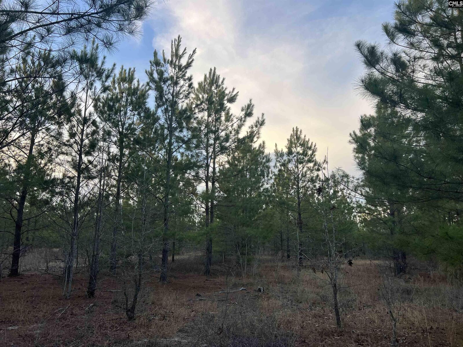 Property Photo: Kelly Day SC 29054