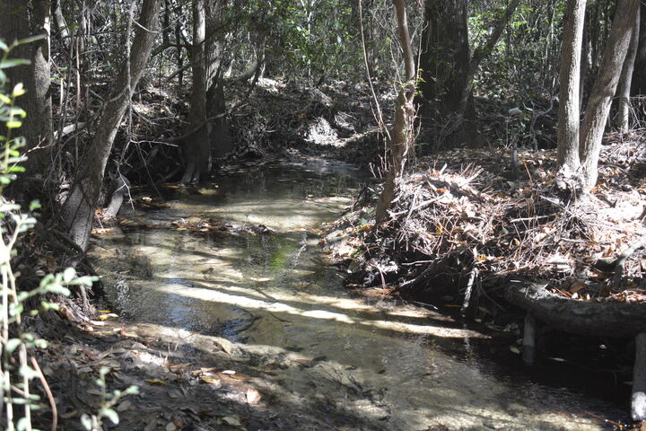 Property Photo:  Xxx Aplin (32 Ac.) Road  FL 32539 