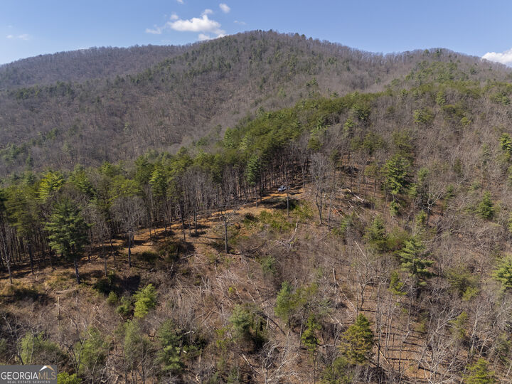 Property Photo:  0 Bellflower Place  GA 30545 