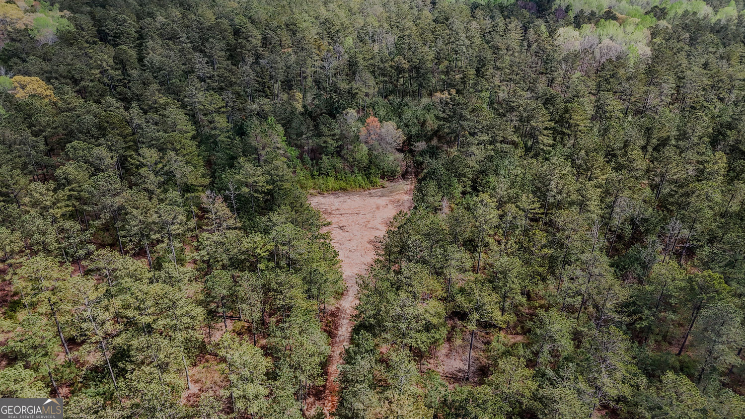 Property Photo:  0 Hwy 166 Road  GA 30116 