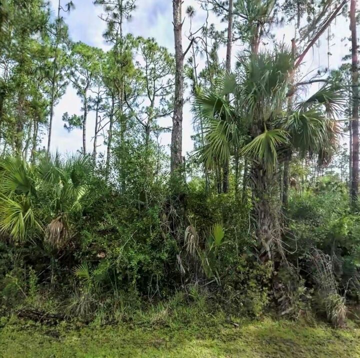 Property Photo: Lot 17 Donatello Avenue FL 34286
