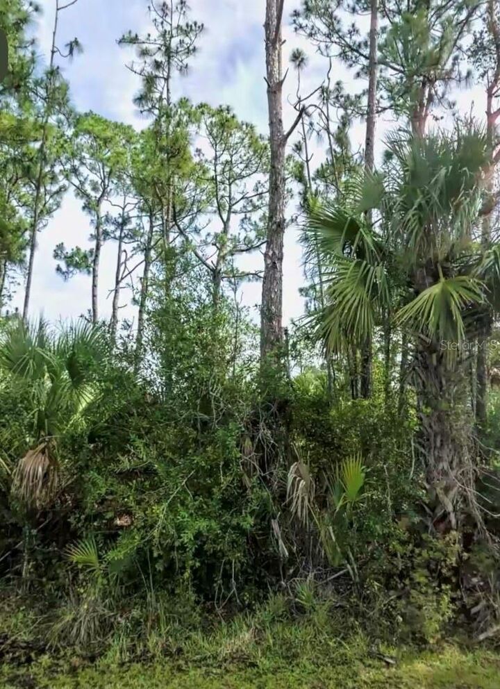 Property Photo:  Lot 17 Donatello Avenue  FL 34286 