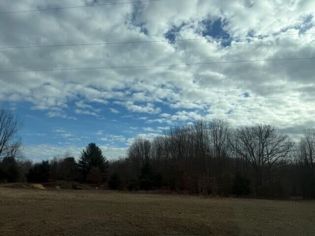 Property Photo:  0 W 100th Street  MI 49327 