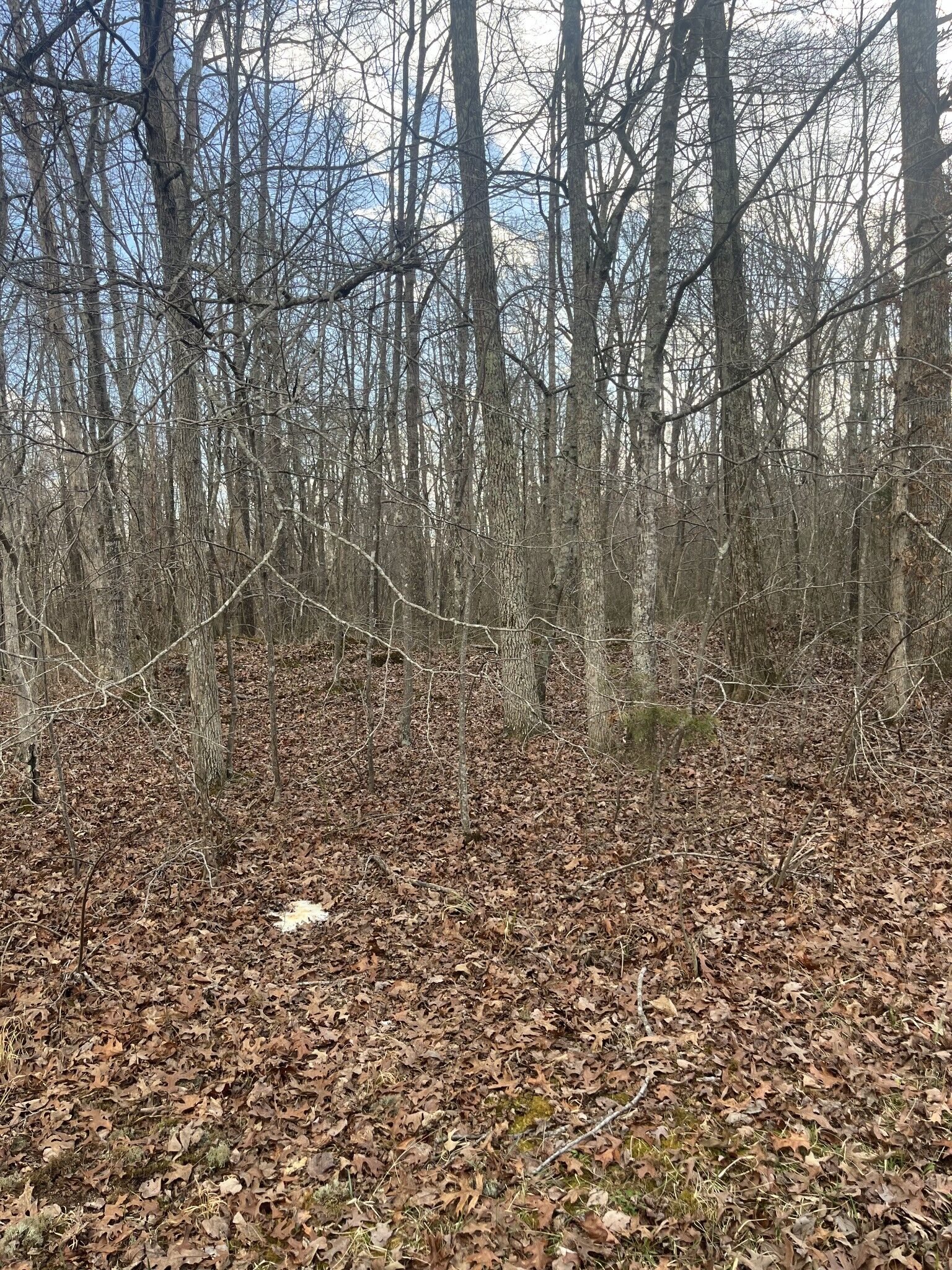 Property Photo:  0 Boynton Valley Rd  TN 37355 