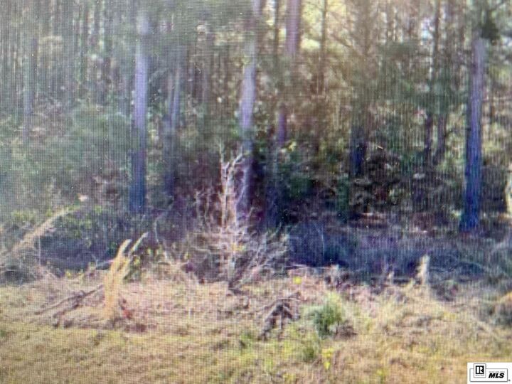 Property Photo:  0 Tech Farm Road  LA 71270 