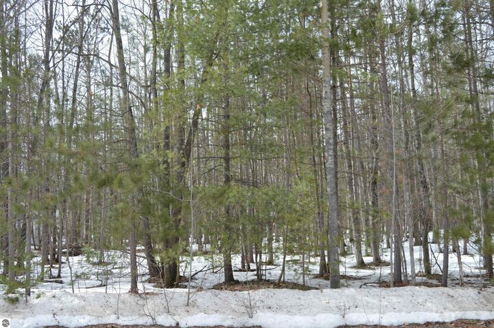 Property Photo:  1949 Fairways Drive  MI 49646 