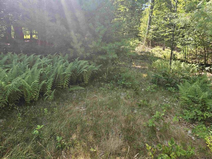 Property Photo:  Lot 3.3 Off Parker Road  NH 03585 