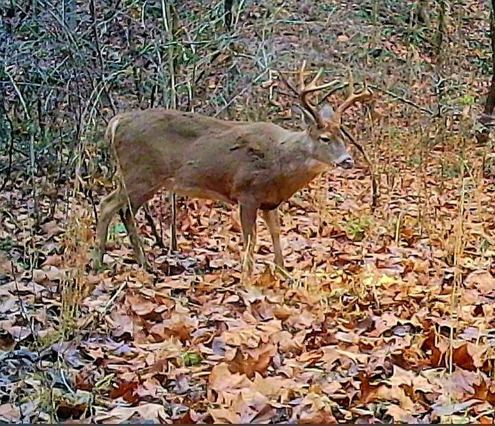 Property Photo:  1045 Sardis Road  OH 45656 