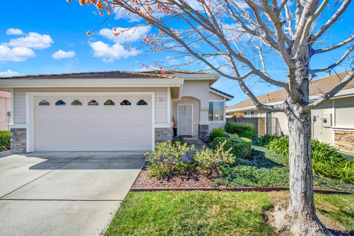 Property Photo:  313 Trellis Lane  CA 95687 