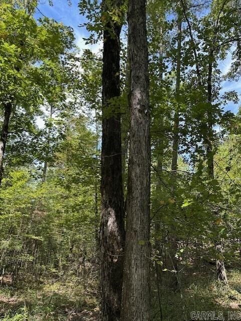 Property Photo:  000 Ross Hollow  AR 72223 