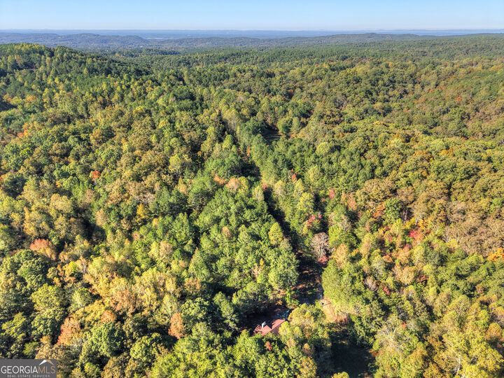 Property Photo:  523 Long Branch Road  GA 30734 