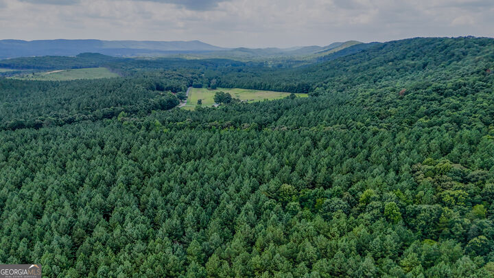 Property Photo:  Tract 3 Back Valley Road  GA 30730 