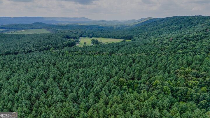 Property Photo:  0 Tract 3 Back Valley Road  GA 30730 