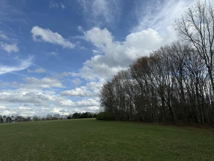 Property Photo:  0 Alabama Highway  AL 35966 