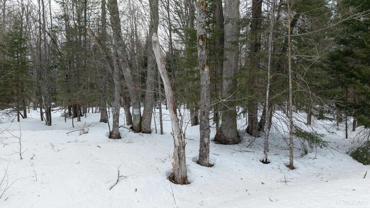 Property Photo: Tbd Co Rd Ri Road MI 49880-0000