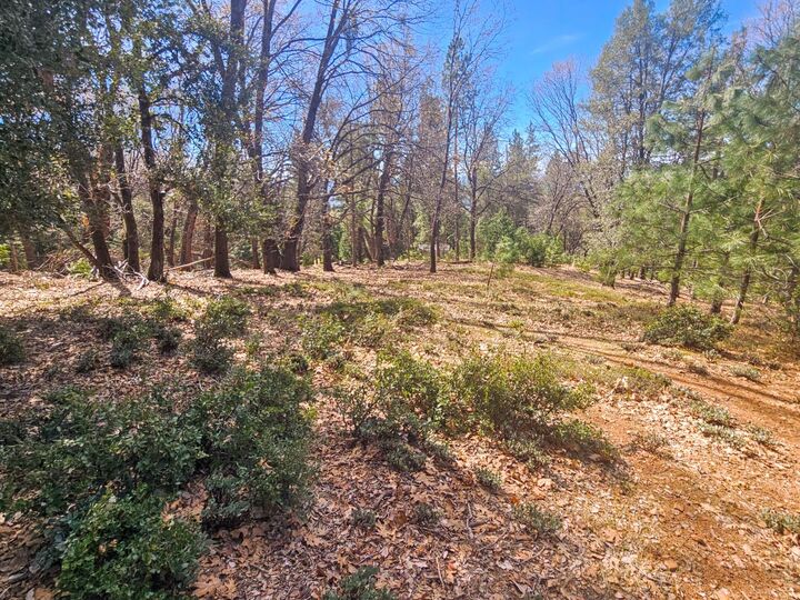 Property Photo: 23470 Pack Trail CA 95370