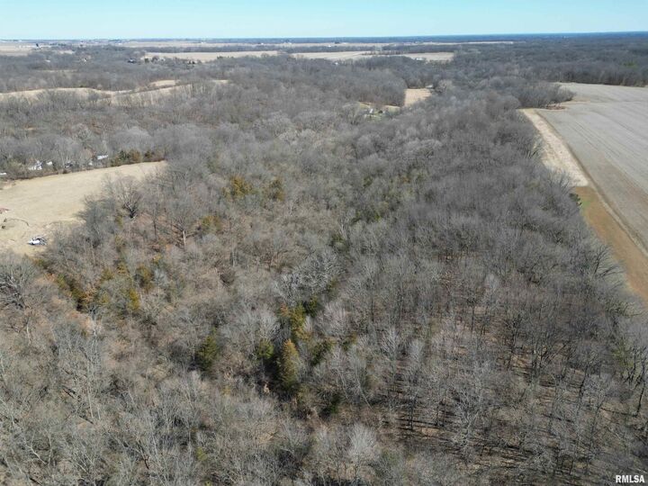 Property Photo:  0 Shortys Road  IL 61520 