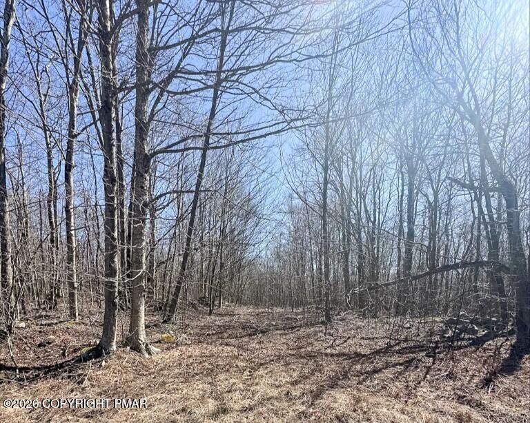 Property Photo:  Somerset Dr 30  PA 18466 