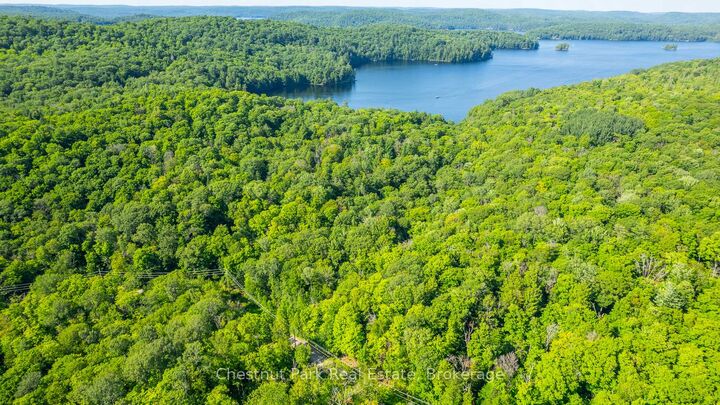 Property Photo:  0 Coleman Lake Road  ON K0M 1S0 